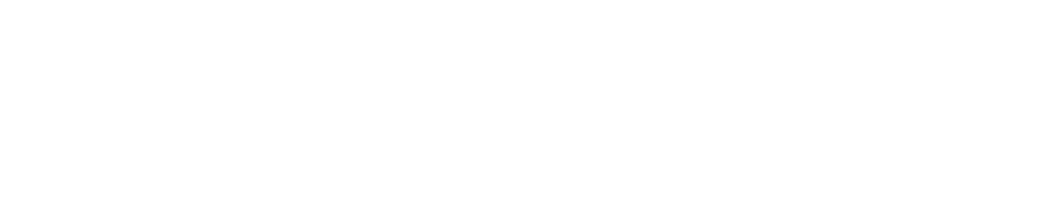 logo2